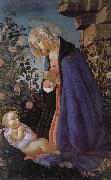 Our Lady of the Son and the sleeping Sandro Botticelli